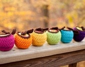 Apple Cozy Set, Apple Jacket, Stocking Stuffer, Teacher Gift, Gift Wrap, Gifts under 35 Dollars