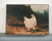 Vintage Picture of a Hen and Chicks