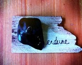 Miniature Bear Wall Mount - Taxiamics