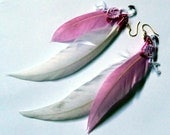 Pink Flamingo Feather Earrings Free Ship