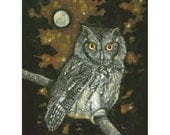 Owl Painting Screech Western Moon Raptor Collection Signed 12 x 16 Print Bird Eyes Night Nocturnal Nature Cycle Hunt Feather Spirit