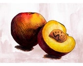 Nectarine illustration postcard-with envelope-print from original ink and watercolor illustration