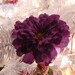 Purple silk Flower destash