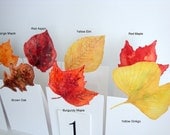 Reserved for Sofia-  11 Autumn Leaf - Table Number card, weddings events