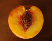 Inside a Peach - 10 by 10 print