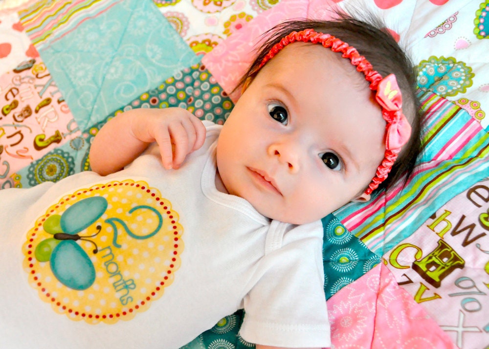 Monthly Onesie Stickers Baby Month Stickers - Katherine - Bird, Ladybug, and Butterfly - Great Baby Shower Gift and Photo Prop