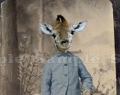 Baby Giraffe Art Print - Anthropomorphic Altered Victorian Photo  - 5 x 7 - Abraham Grigsby