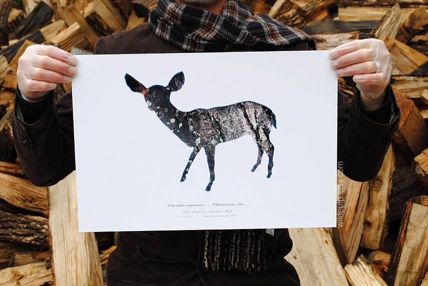 Deer Doe Bark Silhouette : Woodland Animal Photography Print - Eco Home Decor, Cabin Lodge Wildlife Nursery Art 13x19