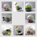 Set of Three Air Plant Terrarium // Home and Garden