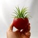 Mini Air Plant Container Pod - Holiday Red Planter