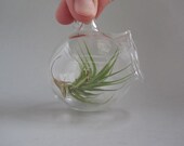 Four Miniature Hanging Glass Globes