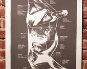 Beef Chart Silkscreen Poster Grey NEW Colour