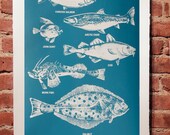 Salt Water Fish Print Teal
