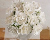 White Serenade Flowers by Prima