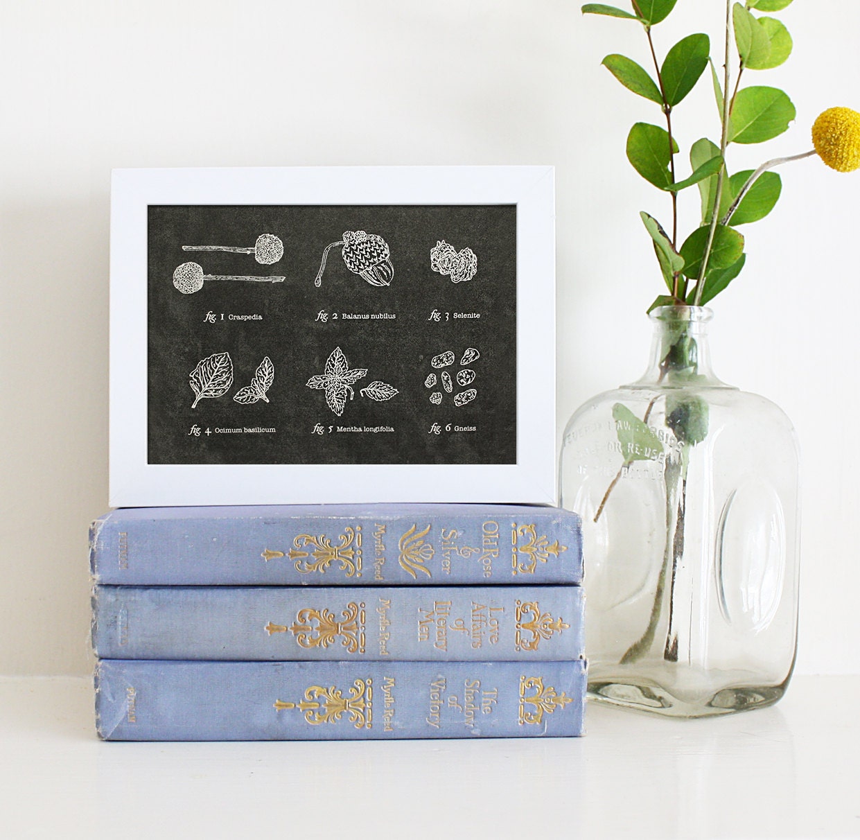 Artifact Series: The Naturalist 5x7 Print