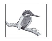 Art Drawing A4 Print Illustration Kingfisher Monochrome Black And Whte Bird Detailed Artwork Nature