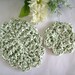 Crochet Soap Dish with Scallops in Off White, Pink Twist, White, or Green Twist