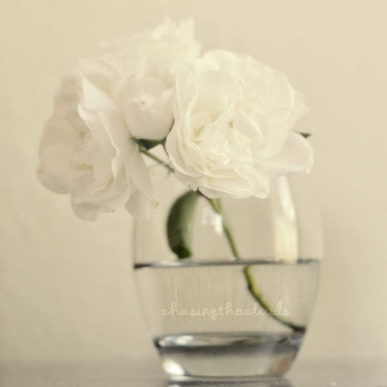 Romance in Cream 8x8 Print