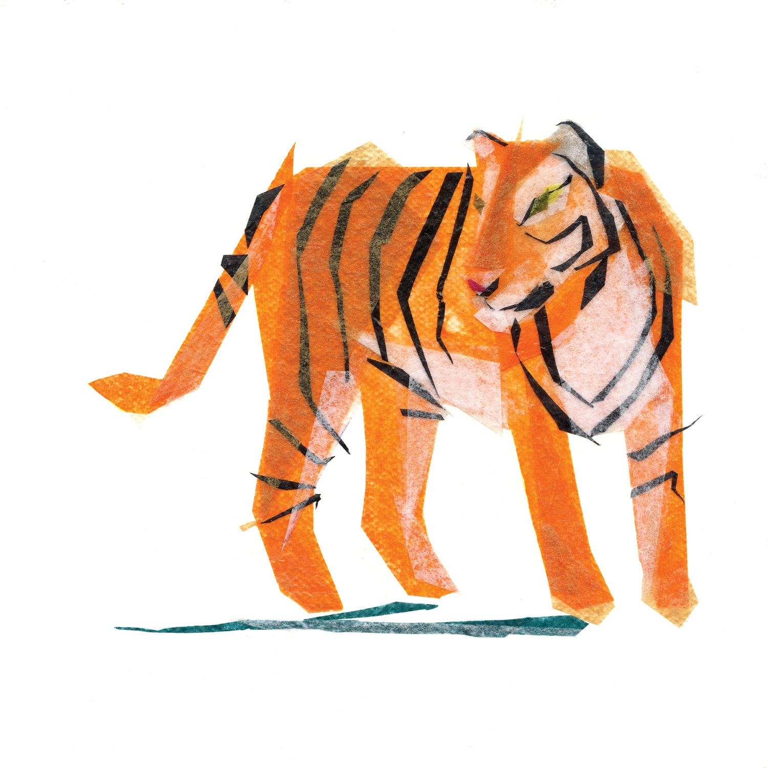 jack tiger - print