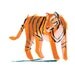 jack tiger - print