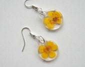 Yellow Buttercups - Charmed Real Flower Earrings