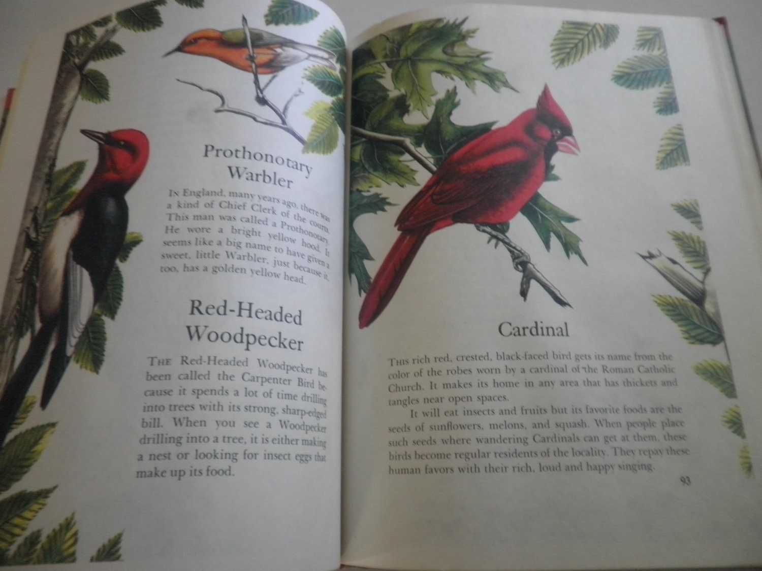vintage book . vintage animal art . illustrations . 1st ed 1974