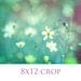 Flower Photography, Impressionistic Floral Print, Aqua Mint Teal Wall Art, Soft White Flowers Photo, Unisex Nursery Decor, 8x10 Print