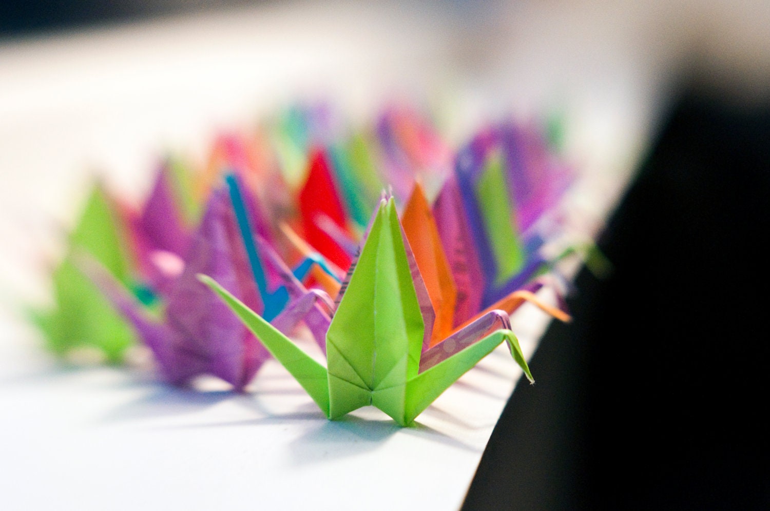 1000 Assorted Color Paper Cranes