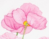 Tall Pink Poppies, original watercolor