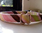 Asymmetrical Stripes - Eco Dog Collar - Medium (12"-18")