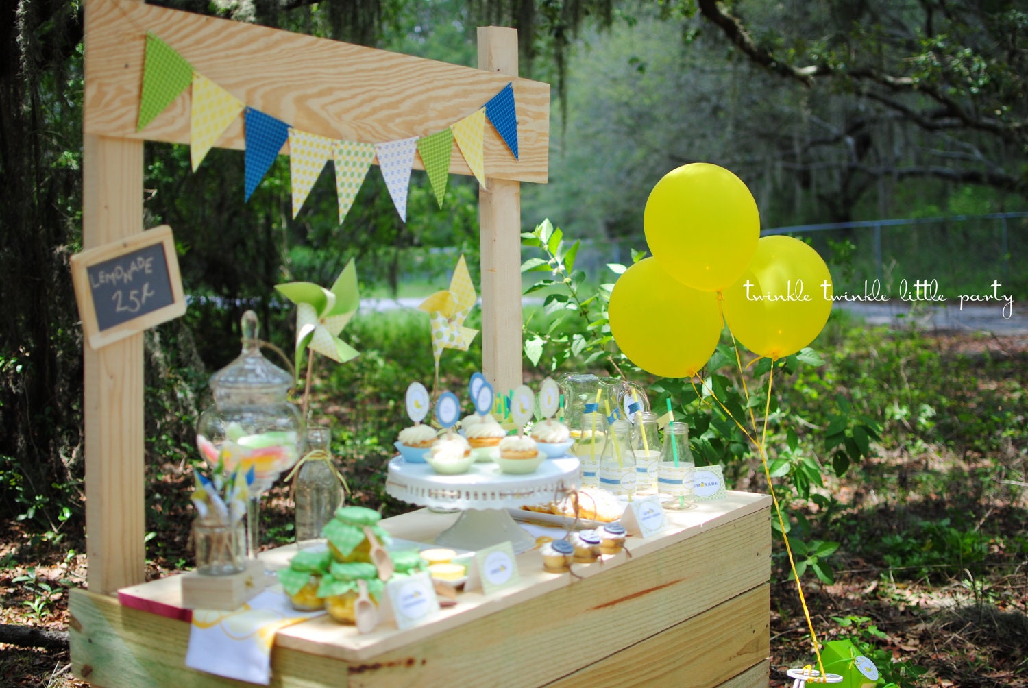 Lemonade Stand Party Boys and Girls As seen on Hostess with the Mostess