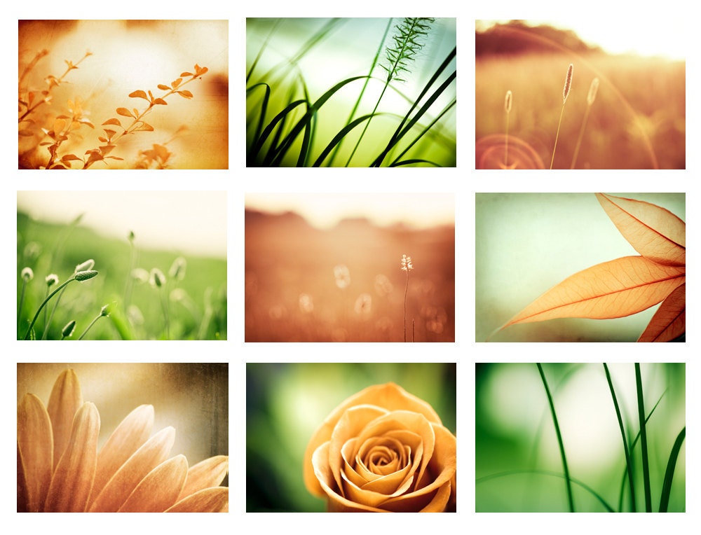 Nature Photo Set - 9 5x7 Photographs - flowers orange blue teal photography brown autumn turquoise green dark brown rust print set wall