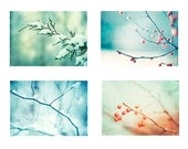 Christmas Photography Set - Four 5x7 Photographs - blue winter mint green teal aqua turquoise red orange - berries branches snow photo set