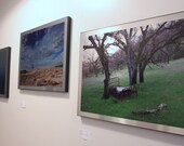 Photography printed on Aluminum - Choice of 3 Images - Time's Lost Slumber, Into the Mist, Summoning
