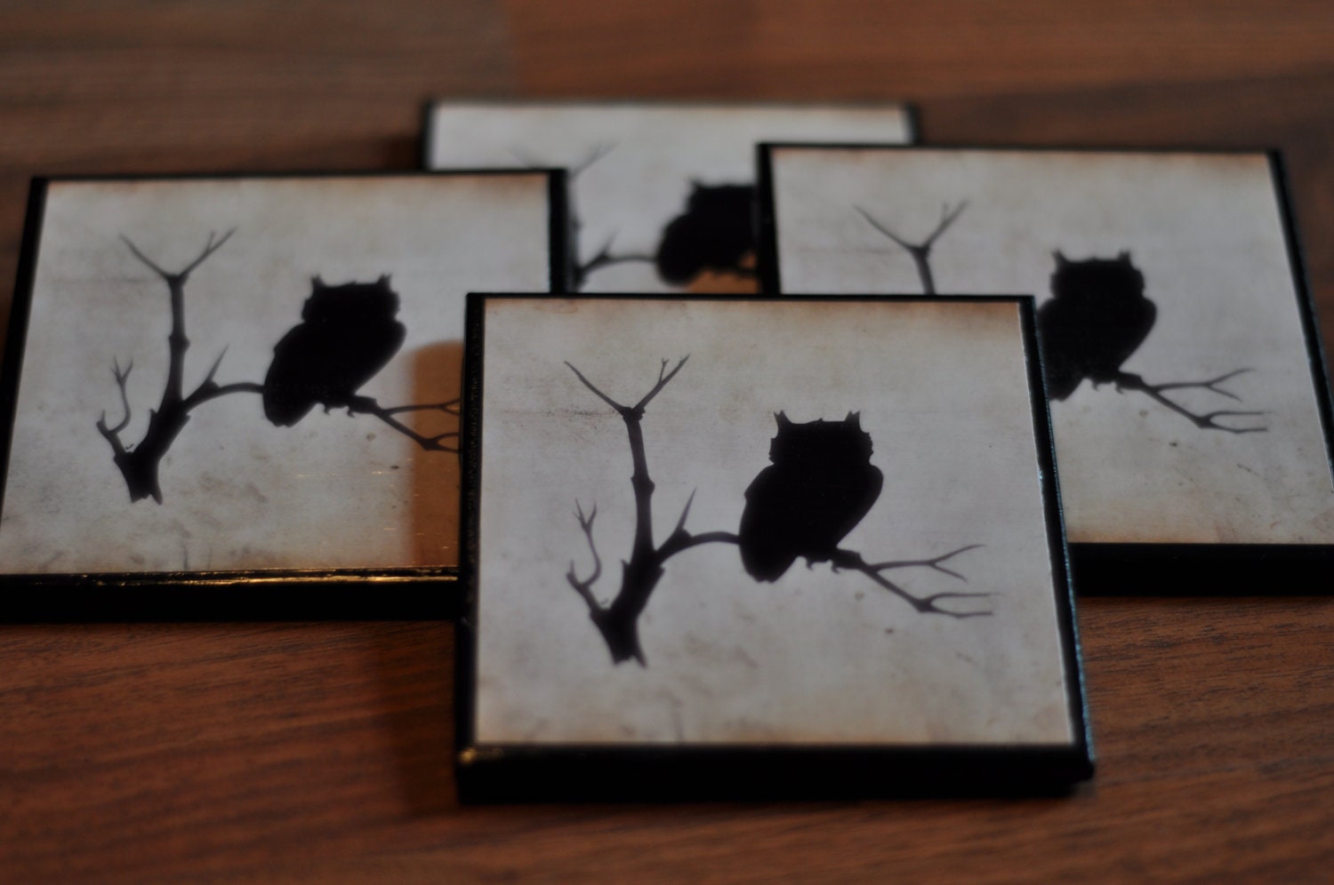 Rustic Owl Silhouette Coasters - CarovaCreations