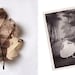 Custom made Oak leaf brooch printed with your photograph