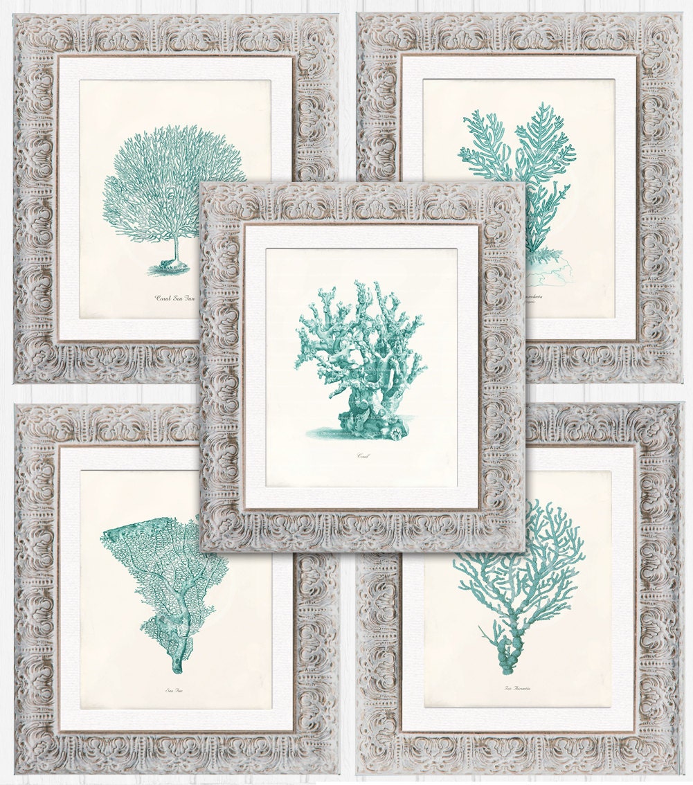 ANY 5 Prints of Your Choice - 5 x 7 Inch - Wall Decor