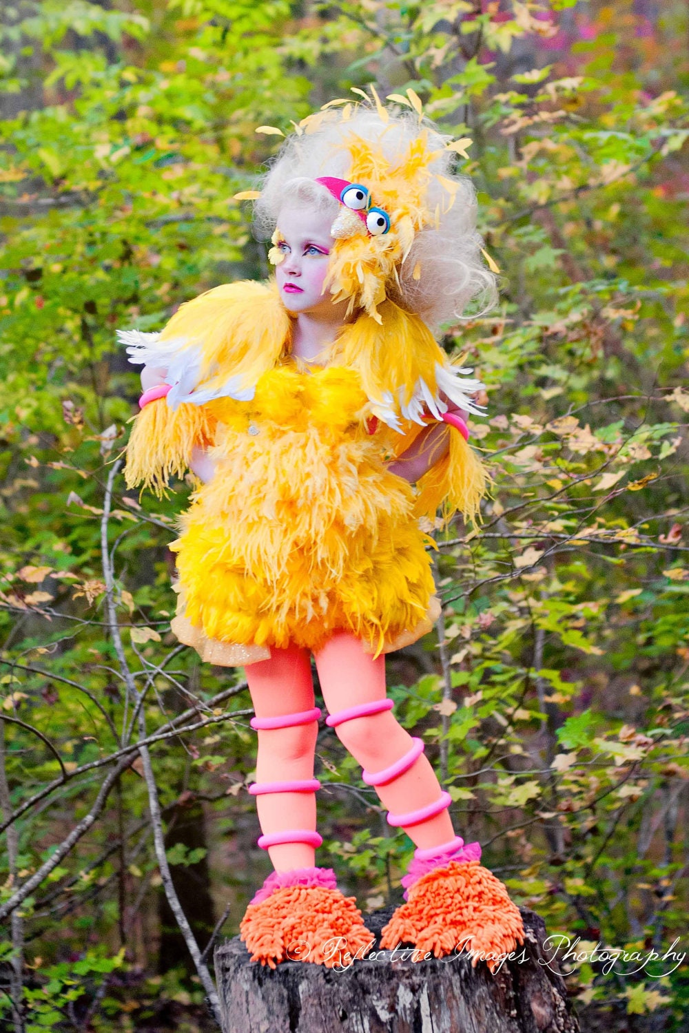 Featured on Access Hollywood, Child's Big Bird Inspired Costume, Girl's Bird Costume