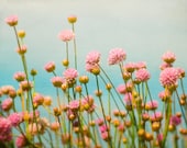 Pink Flower Meadow Photograph, Romantic Bohemian Nature Flower Photography, Large Poster Print for Home and Nursery Decor