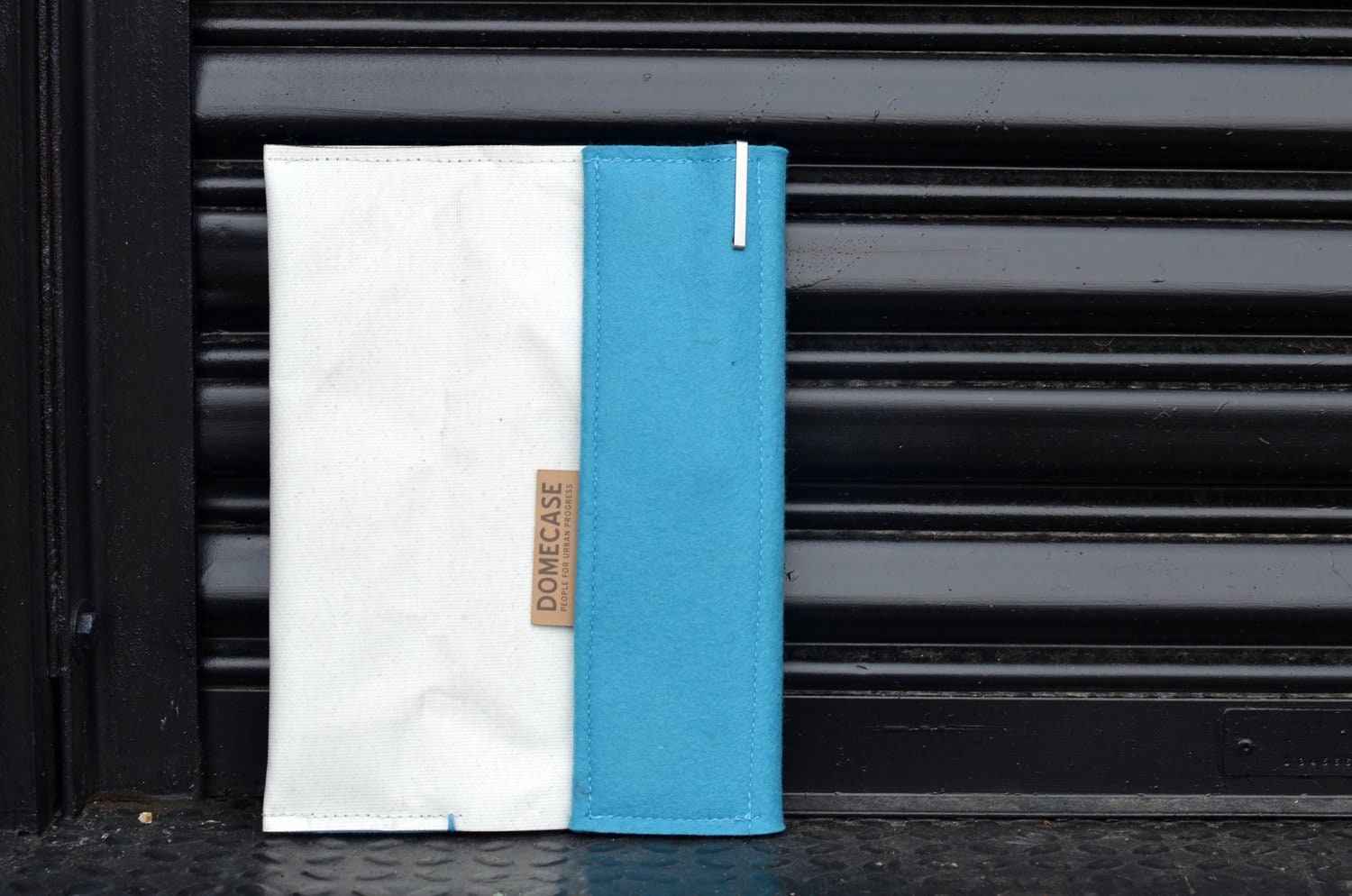 SALE Domecase: Teal