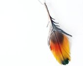 Bright feather pendant