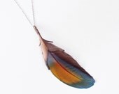 Bright Macaw feather pendant