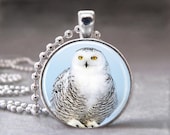 White Snowy Owl, Animal,  Photo Pendant, Altered Art Pendant, Glass Dome Pendant , no 983-41