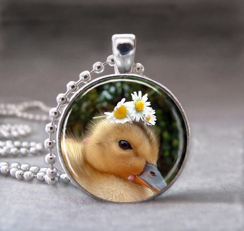Baby Duck with Flowers,   Photo Pendant, Altered Art Pendant, Glass Dome Pendant , no 983-12