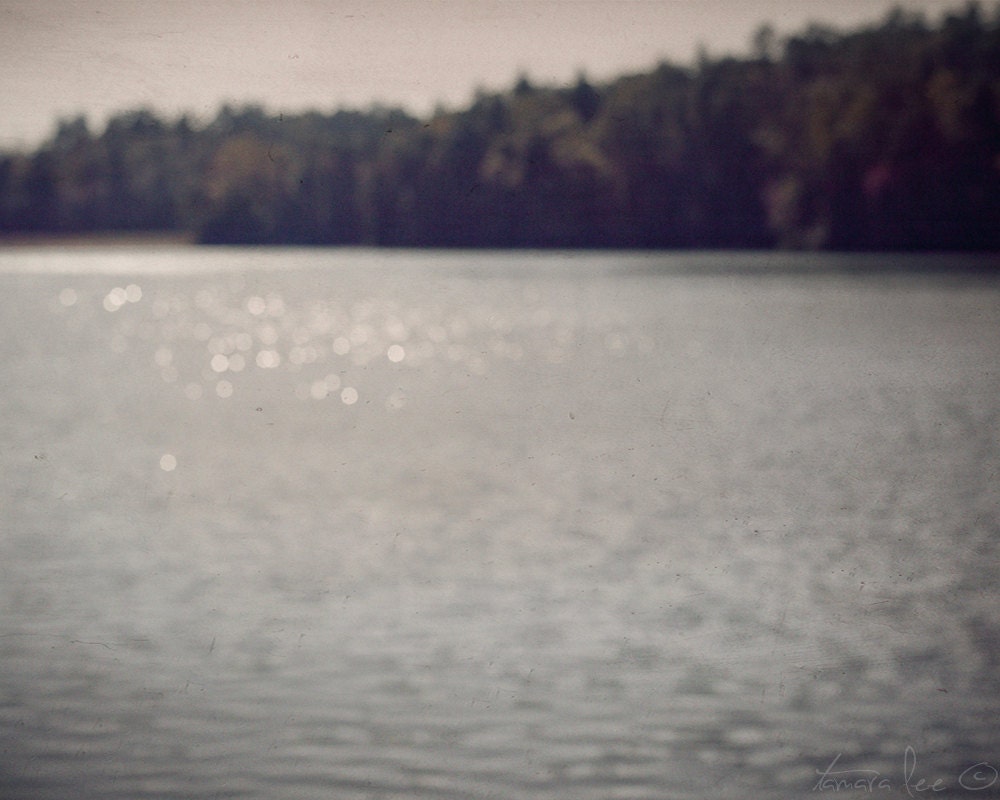 Quiet Symphony - Lake and Nature Photography 5x7