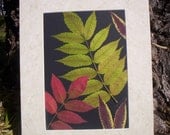 Real Sumac Leaves - OOAK Original Art - 11 x 14 Botanical Fall Pressed Leaves - Organic