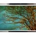 25% Off SALE Magical 16x24 Nature Photograph fine art. surreal large wall art. tree branches twinkle lights green teal blue