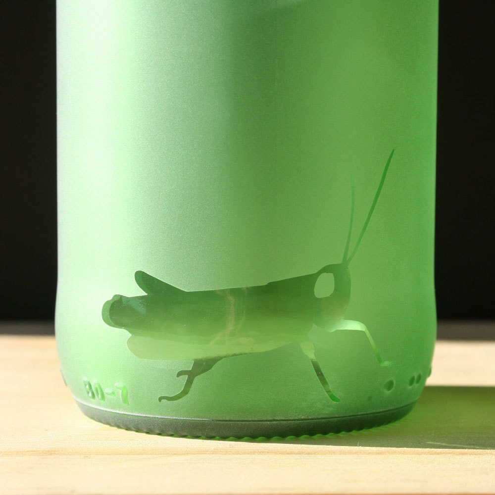 Recycled Drinking Glasses - Grasshopper Juice