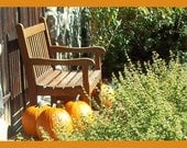 Pumpkins in New England 5x7