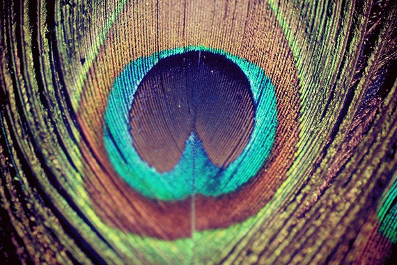Peacock feather photograph - metallic - peacock wall art - peacock decor - dreamy - whimsical - peacock feather - unique 8x12 metallic